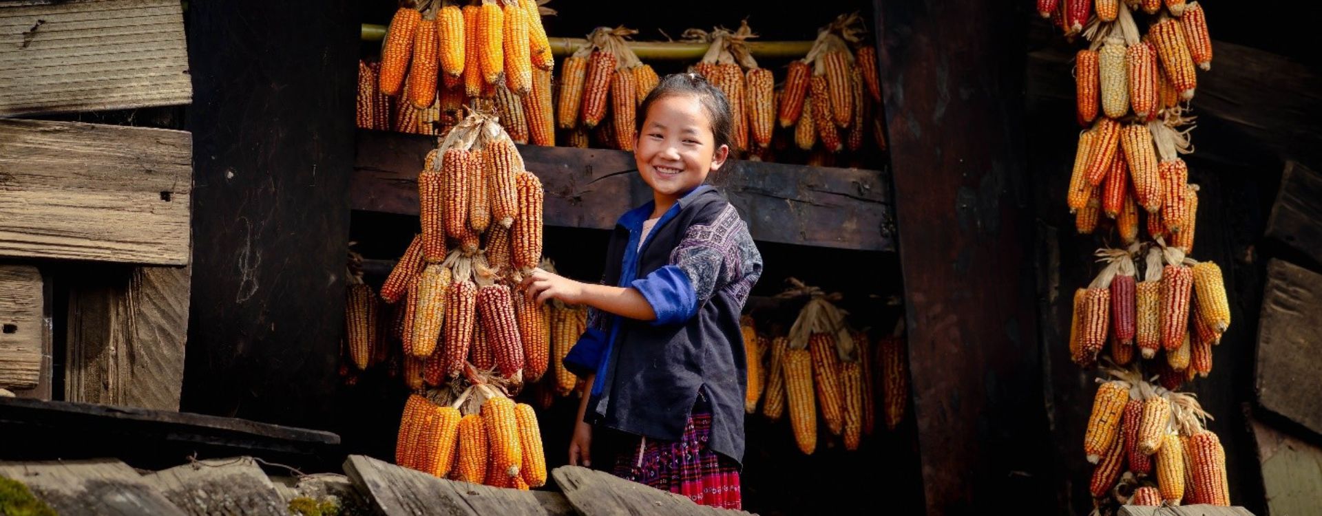 Les circuits Nord Vietnam les plus recommandés par nos voyageurs