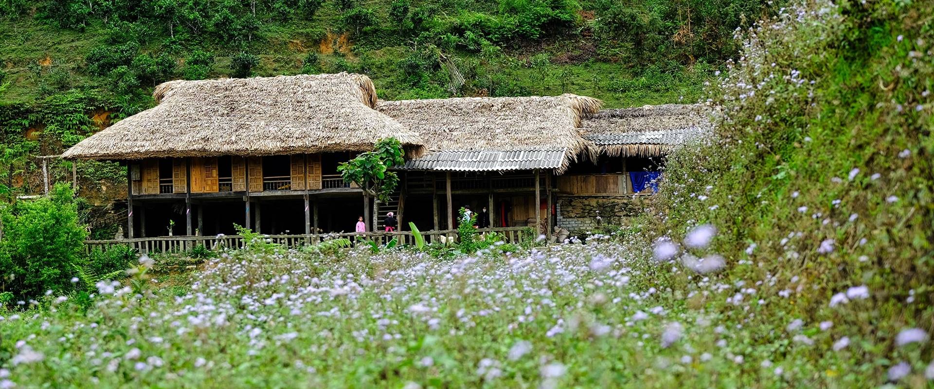Guide de voyage de Bac Ha, Vietnam