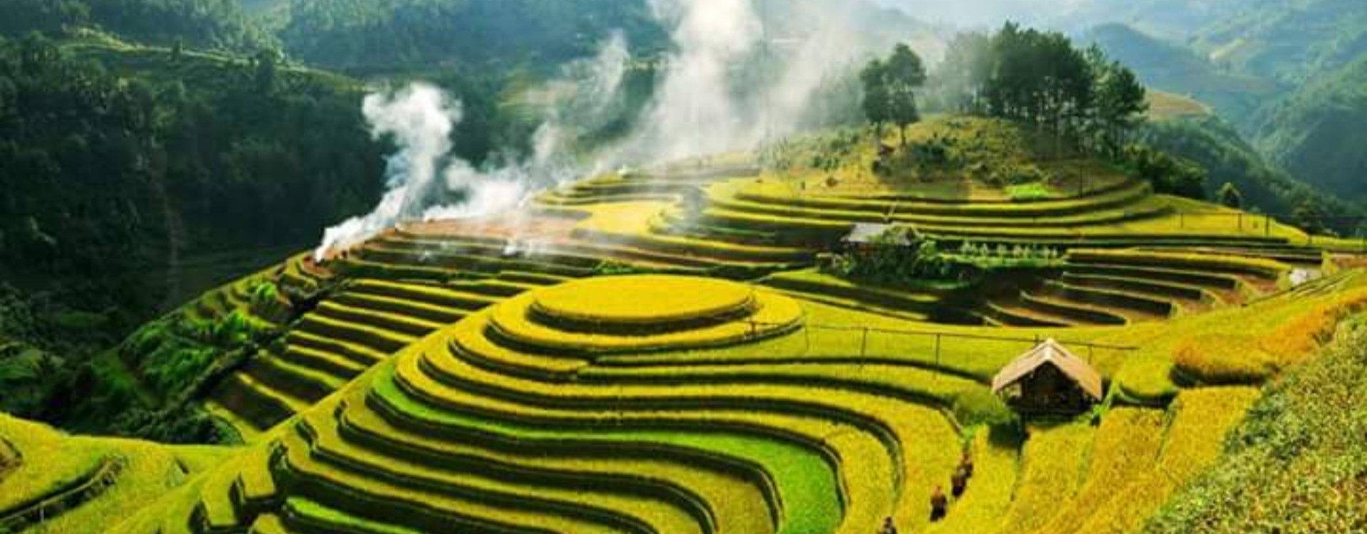 Pu Luong 2025 : Le guide essentiel pour découvrir la réserve naturelle du nord Vietnam