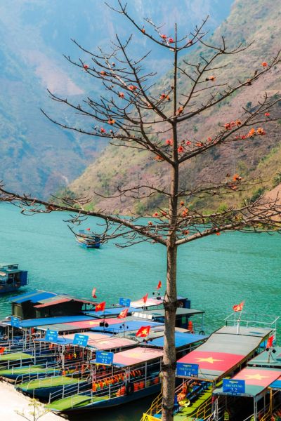 Ha Giang