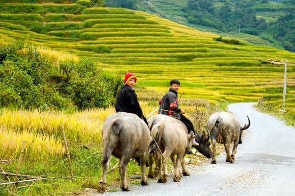 Secrets du Nord-Ouest Vietnam 5 jours