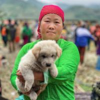 Superbe voyage dans le nord du Vietnam