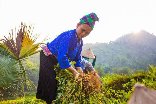 Immersion au cœur de Ha Giang - 4 jours
