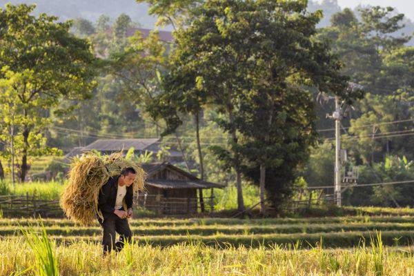 Exploration profonde chez les Hmong noirs à Sapa - 5 jours