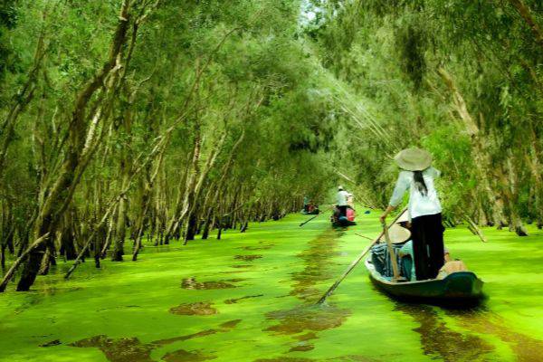 An Giang : à la découverte d’une perle du delta du Mékong