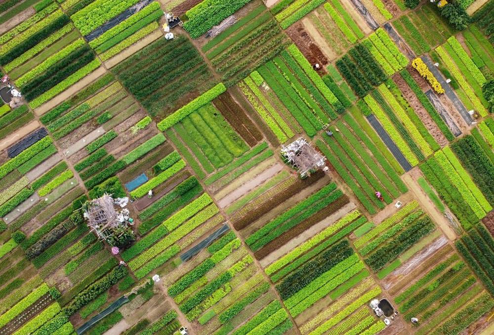 À la découverte des villages artisanaux autour de Hoi An