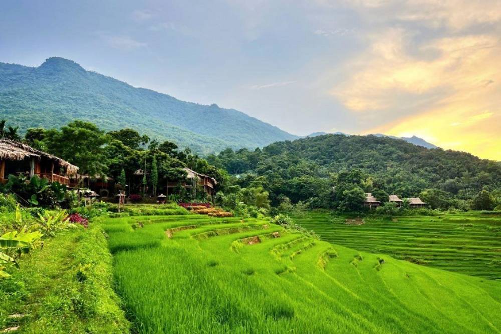 Vue panoramique du village de Bản Đôn