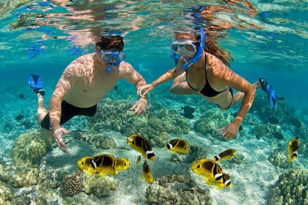 faire du snorkeling Con Dao