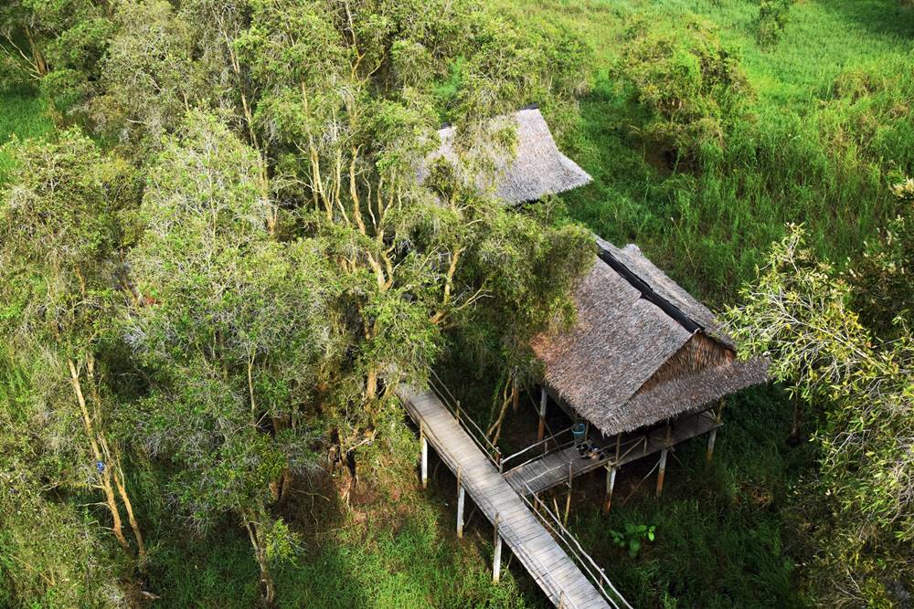 Découverte de la forêt de cajeput de Tra Su