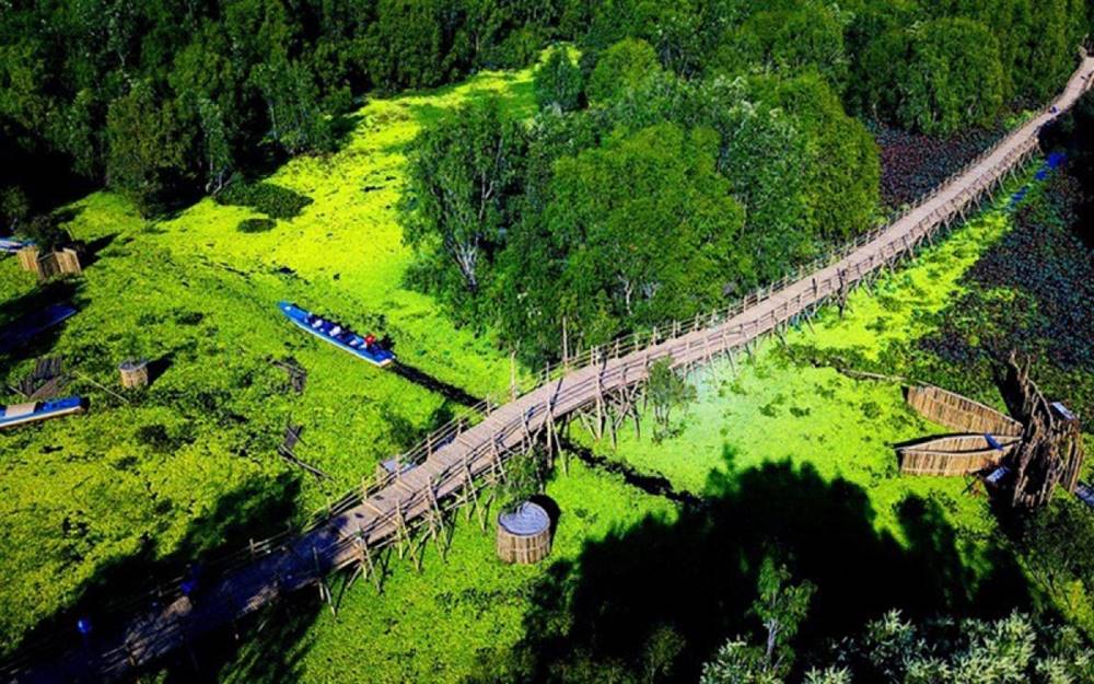 Découverte de la forêt de cajeput de Tra Su
