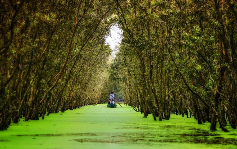 Découverte de la forêt de cajeput de Tra Su