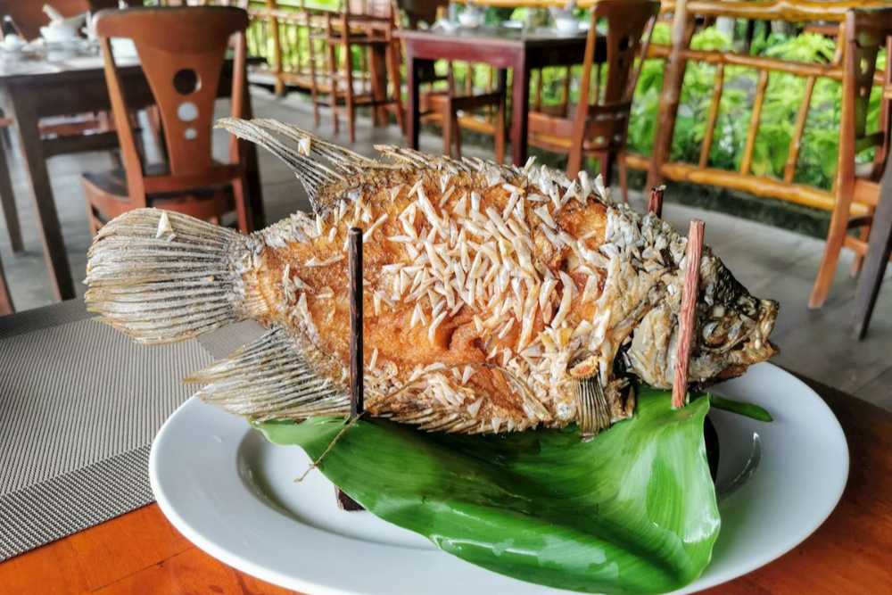 Poisson à oreille d'éléphant frit