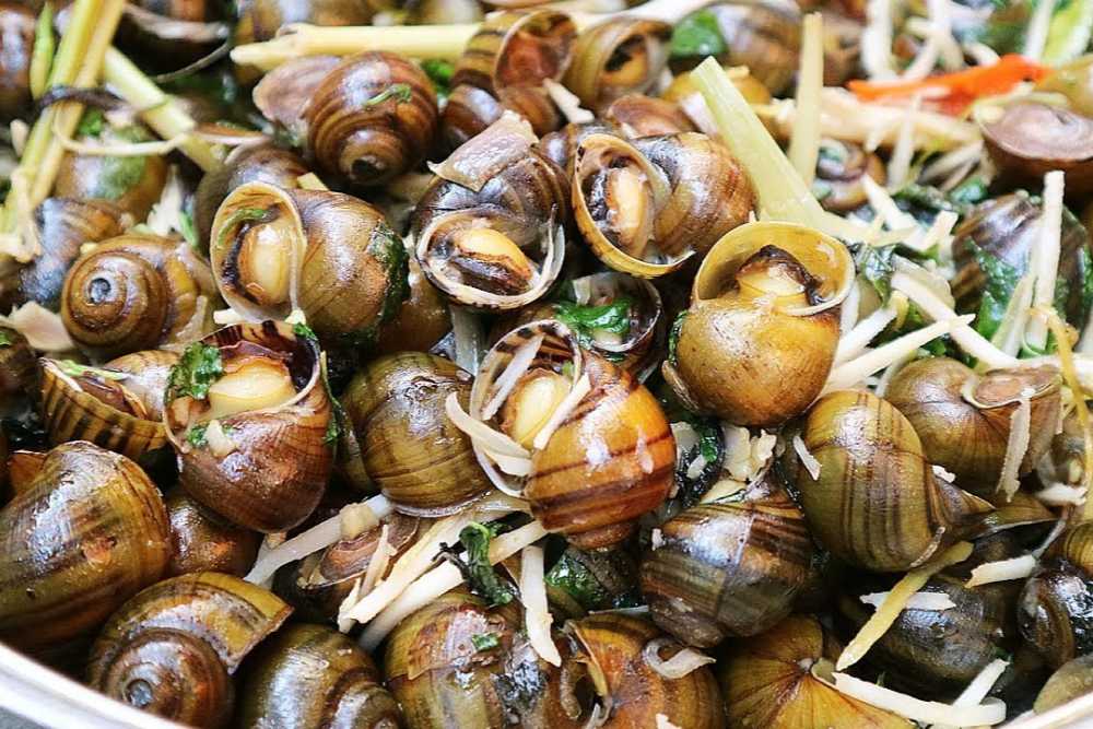 Escargot de riz