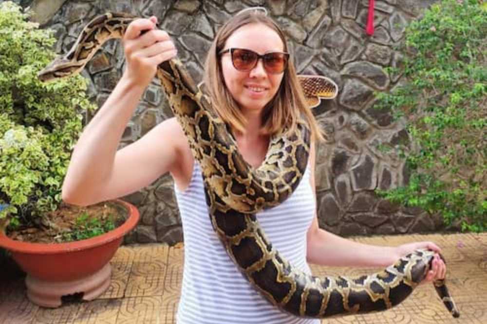 expérience d’un touriste à la ferme aux serpents de Dong Tam