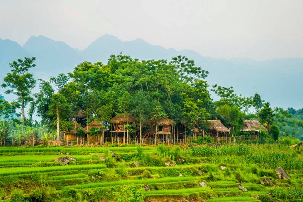 Vue panoramique du Pu Luong treehouse