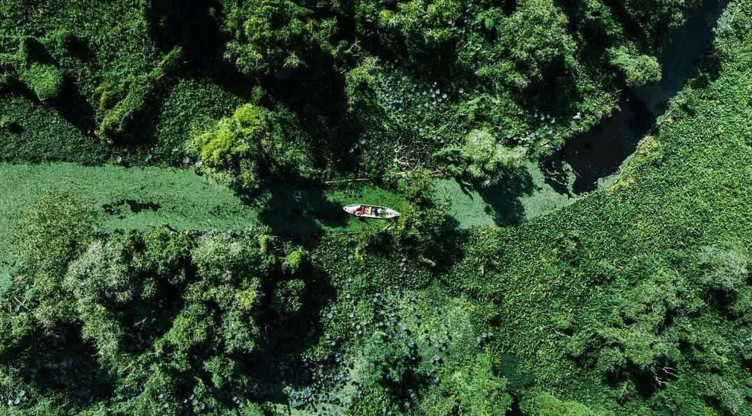 Vue aérienne de la forêt de Tra Su