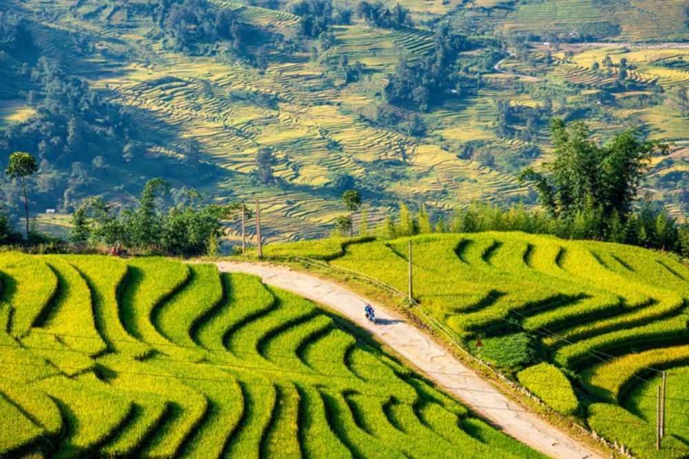 Vue panoramique de Sapa