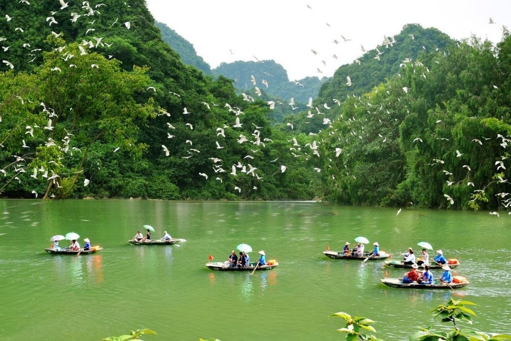 parc ornithologique de Thung Nham