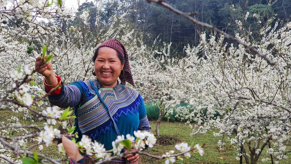 Guide de voyage de Bac Ha, Vietnam